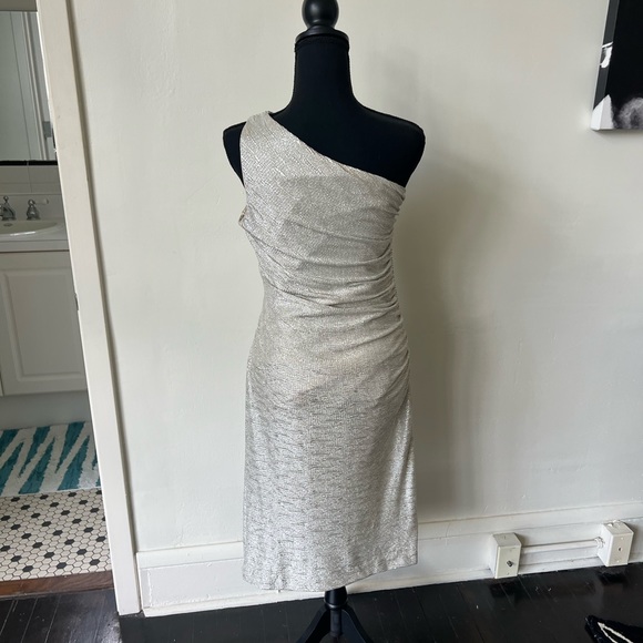 Cache Silver Beaded Asymmetrical Midi Dress - Picture 8 of 11
